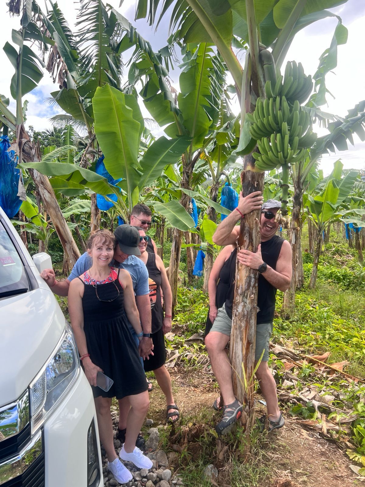 Banana tour experience